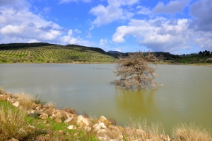 Λίμνη Αρμανωγείων