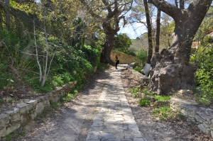 Spiliotissa Gorge (Houdetsi)