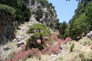 Φαράγγι Κερατίδας