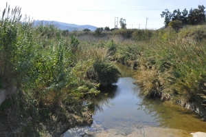 Ποταμός Γιόφυρος