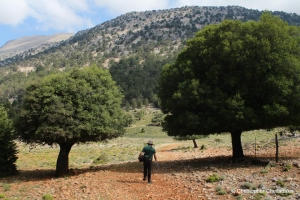 Οροπέδιο Κρούσια