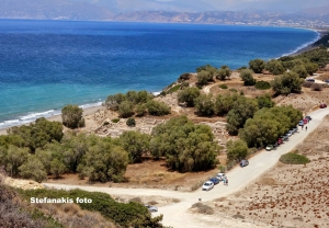 Αρχαίος Κομμός