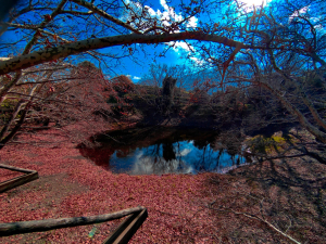 Limni Lake near Elos