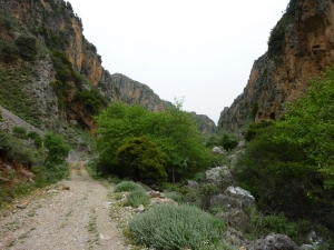 Φαράγγι Μεσαυλίων - Δελιανών