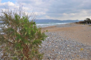 Livadia beach, Kissamos