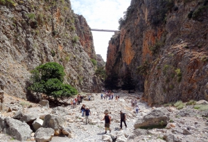 Φαράγγι Αράδαινας