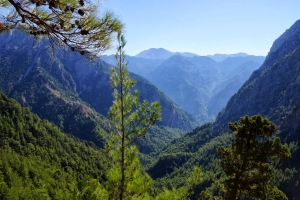 Φαράγγι Σαμαριάς