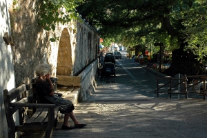 Plane tree of Krassi