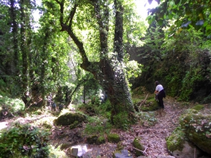 Boriana Gorge