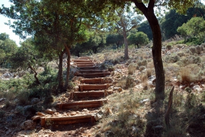 Πρινόδασος Χαμόπρινα