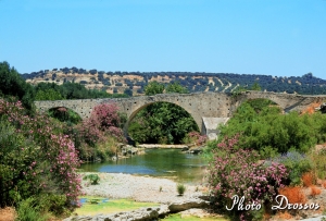 Γέφυρα Αναποδάρη στο Δεμάτι