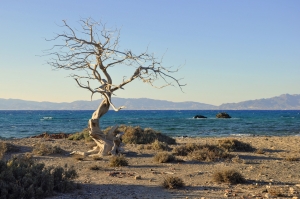 Hadzivolakas beach