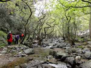 Vilandredo Gorge (Kollita)