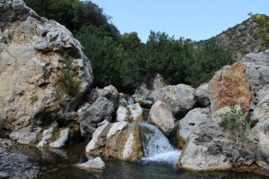 Φαράγγι Πελεκανιώτη