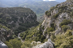 Agia Fotia Gorge