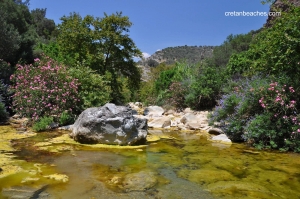 Πλατύς Ποταμός (Αμαριανός)