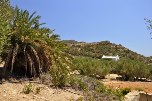 Christ Savior monastery in Psathi