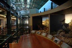 Natural History Museum of Crete