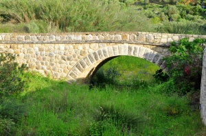 Γαλιφιανή καμάρα