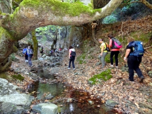 Trail Alones - Nissi - Agios Konstantinos