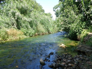 Ποταμός Κερίτης