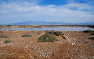 Saltpan of Chrissi