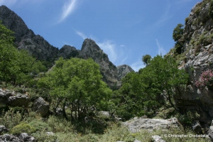 Φαράγγι Κάπνης