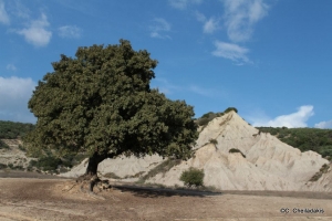 Komolithi at Potamida