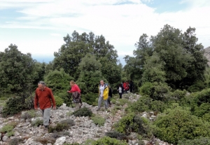 Μονοπάτι Χαμόπρινα  - Αζιλακόδασος - Βραχασώτης