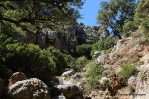 Φαράγγι Λύχνου Λάκκοι