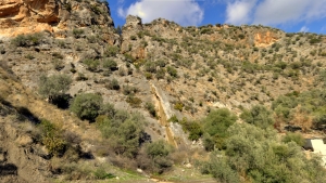 Rizopetro Gorge