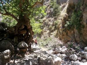 Agia Irini Gorge