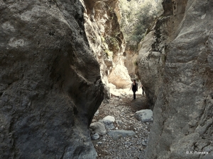 Φαράγγι Μπουφάνη (Γυπαετών)