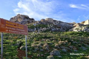 Φρούριο Τέμενος (Ρόκκα)