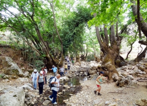 Φαράγγι Δικτάμου