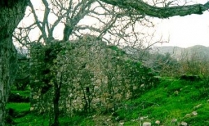 Unknown towers of Crete