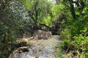 Γαζανός Ποταμός