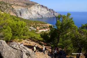 Πευκοδάσος Κουδουμά