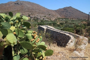 Chochlakies watermill