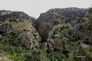 Φαραγγούλι Βοριζίων