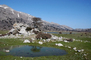 Λίμνη Ομαλού Βιάννου