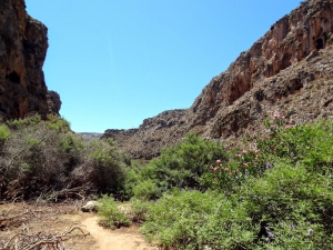 Zakros Gorge