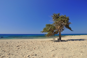 Παραλία Φράγκου Μνήμα στη Χρυσή