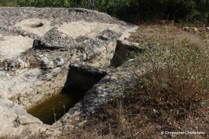 Λαξευτά Πατητήρια στον Πρινιά