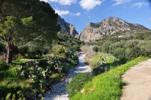 Kritsa Gorge