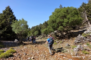 Φαράγγι Καβή (Ίλιγκας)