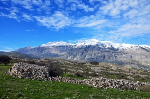 Αρχαία Ριζηνία στην Πατέλλα Πρινιά