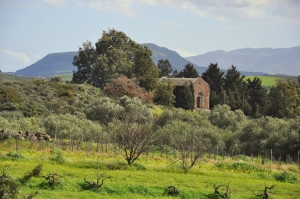 Zoodochos Pigi Church at Damania