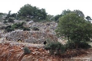 Ο κούμος στο Ξυλόδεμα Ασκύφου