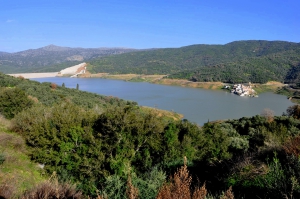 Aposelemis Dam See